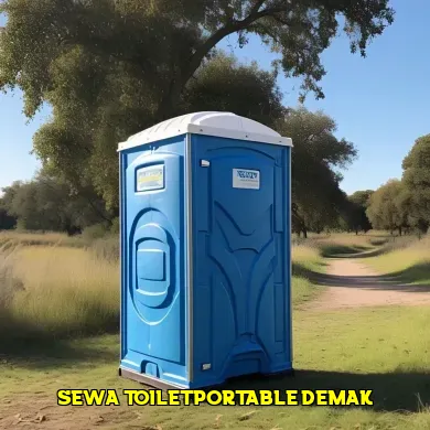 sewa toilet portable demak